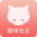 猫咪社交3.0