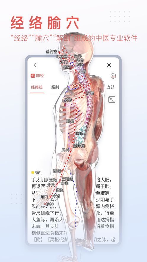 3dbody解剖图手机版