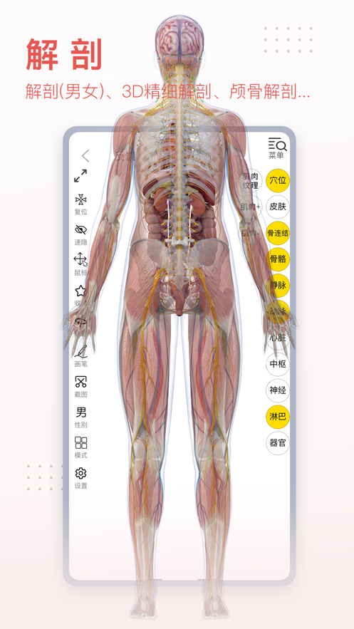 3dbody解剖图手机版