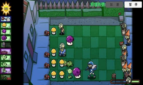 宅宅萝卜pvz_bt测试版