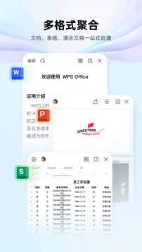 wps office解锁高级会员版